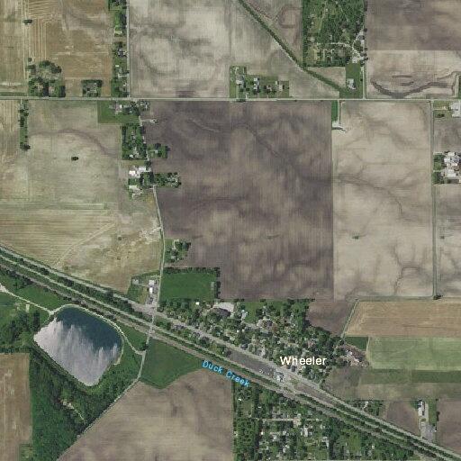 Juveniles reported shooting BB guns at animals near Park Avenue