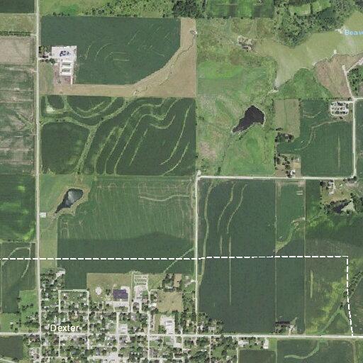 Welfare check on woman walking near Dexter intersection