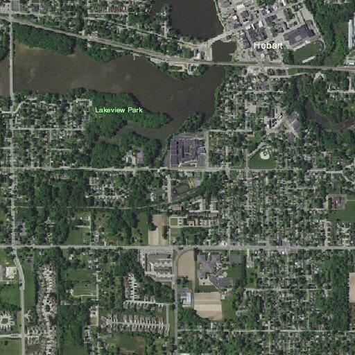 Person attacked by dog while walking dog on Water Street