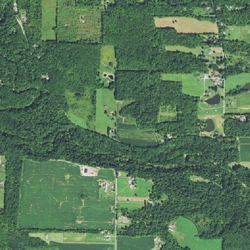 Tree on fire at Warner Hollow Road property
