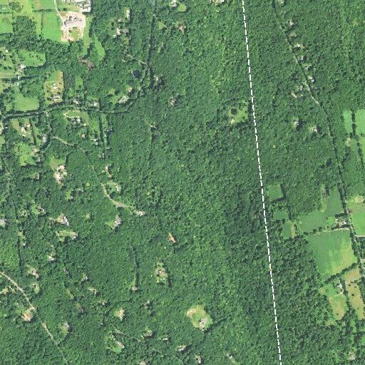 Man falls near Transylvania Road