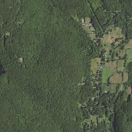 90-year-old woman has difficulty breathing in Pawling