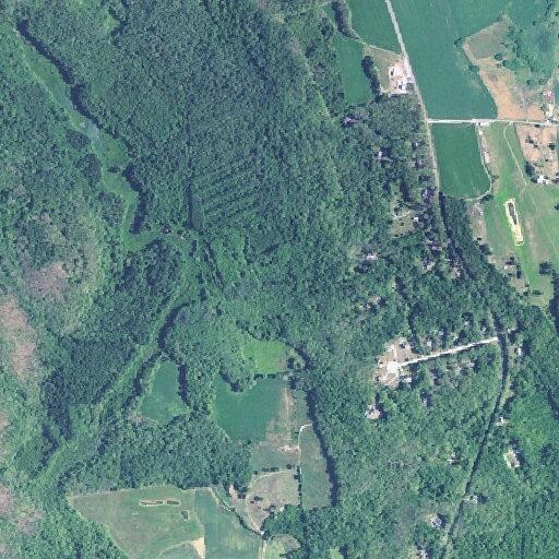 Camera reports trespasser in upper yard near (person_name withheld) Lane