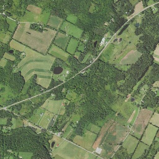 Elderly woman unresponsive after medical alarm in Dushore