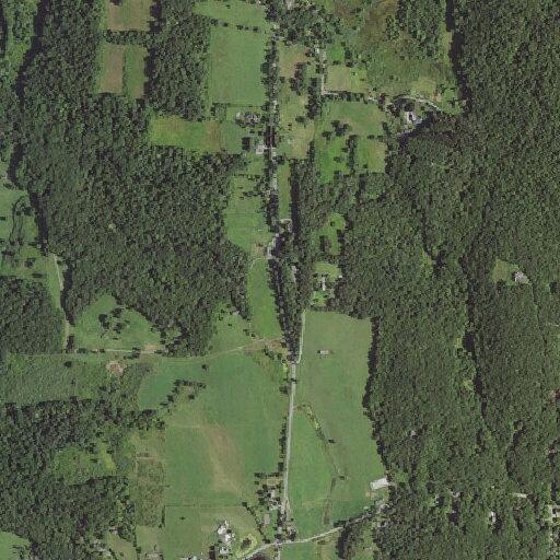Man having difficulty breathing near South Quaker Lane in Pawling