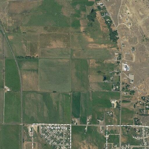 Person bitten by dog at W 1400 N in Brigham City