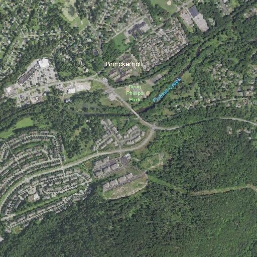 95-year-old female requires lift assistance in Fishkill