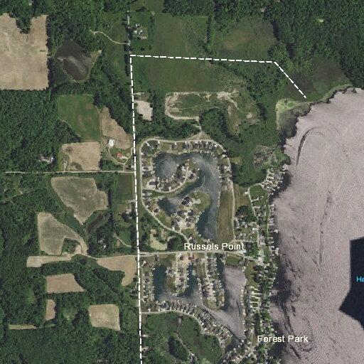 Loose Jack Russell terrier reported in Hamilton