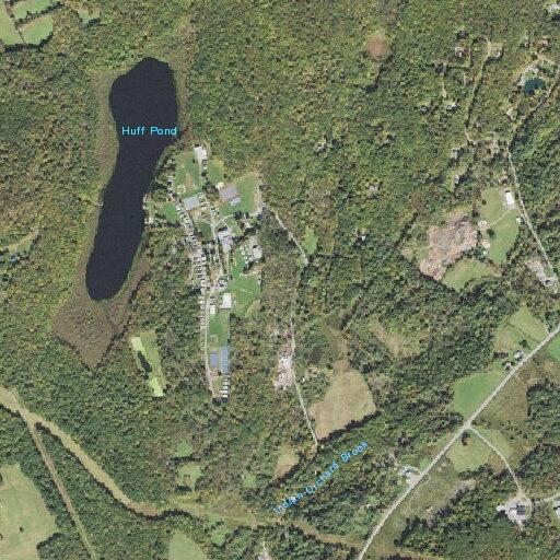 Tree removed from Beach Lake Highway roadway