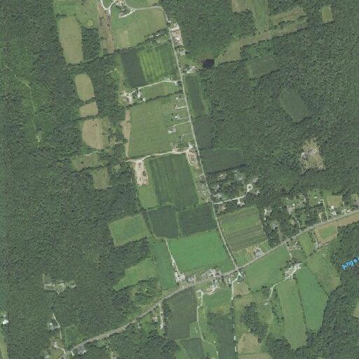 Driver reports hitting deer on Adamsville Road