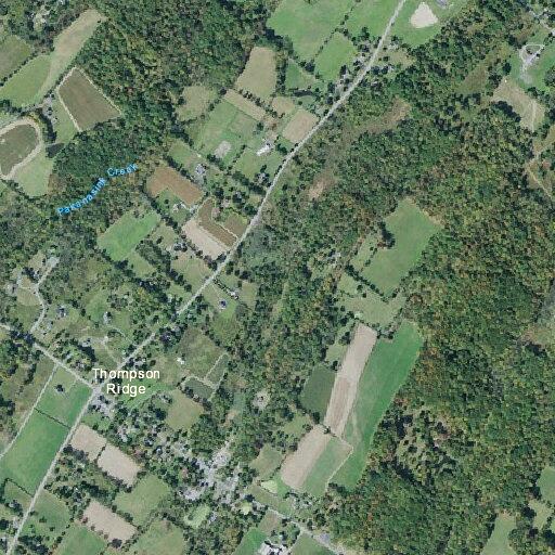 Male collapses with possible seizures near Thompson Ridge