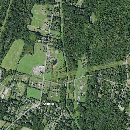 78-year-old male with altered mental status in Walden