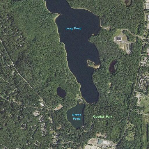 Welfare check on intoxicated woman at park