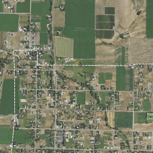 Complaint of loud music near (number withheld) South in Paradise