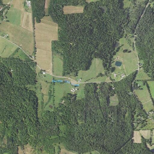Mental health patient reported near Cotter Road in Wilmot Township