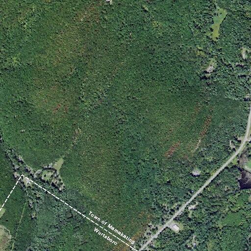 Man with altered mental status at US-209 near Kingston Avenue