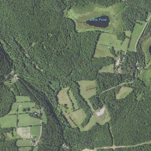 Tree partially blocking Route 187 roadway