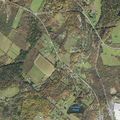 Elderly woman has fainting episode at Colvin Road