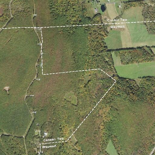 Woman suffers severe abdominal pain near Adams Drive