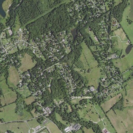 Elderly male found lethargic near rose street in beekman