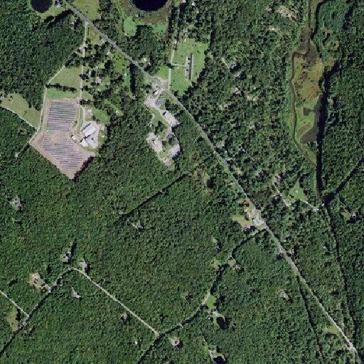 Unresponsive child at river site regains pulse after CPR