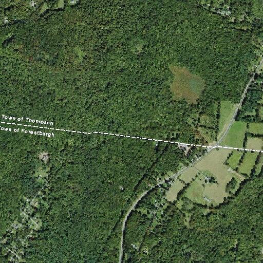 Woman with unknown medical issue calls 911 in Forestburgh