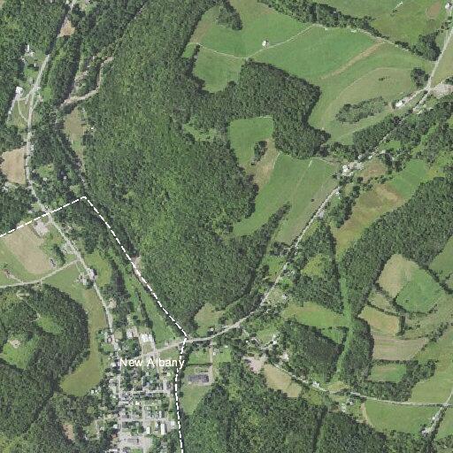 Person suffering from abdominal pain in New Albany