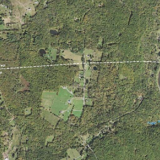 Car hits tree, one injured on Peggy Runway Road