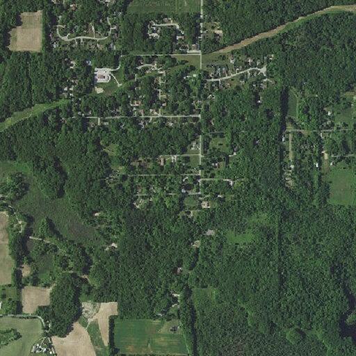 Tree down reported on North Washington Road