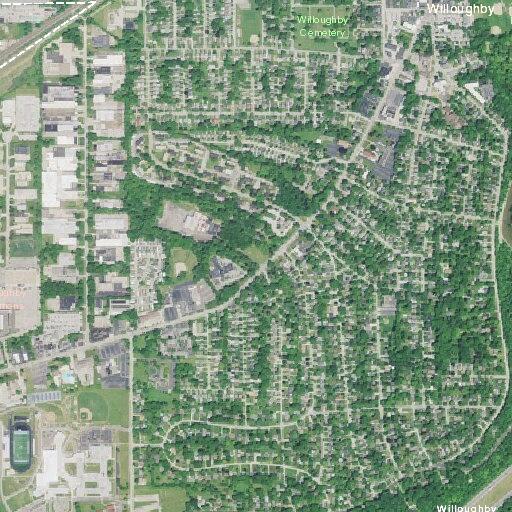 Animal control requested for raccoon near driveway