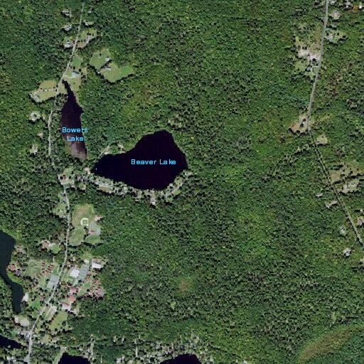 Elderly woman falls near Beaver Lake Road