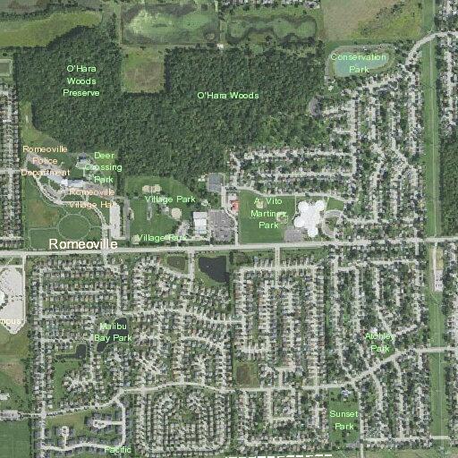 Person experiencing psychiatric issue in Romeoville home