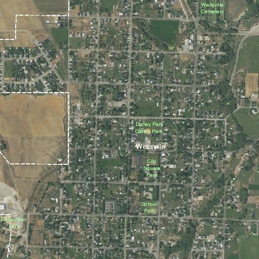 Loose cow reported on South Center Street