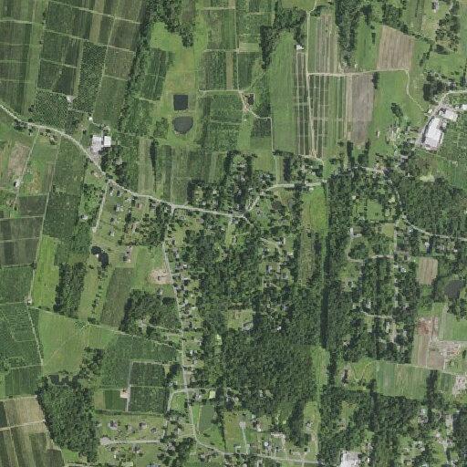 Physical domestic dispute on Ridge Road in Milton