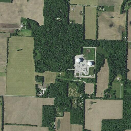 Unwanted family member at Mill Creek home