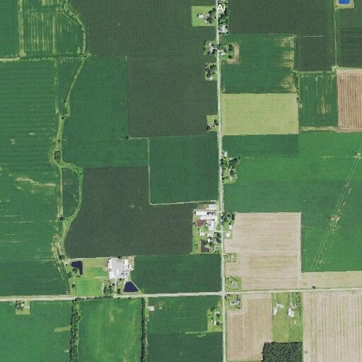 Intoxicated woman shooting bottle rockets by barn