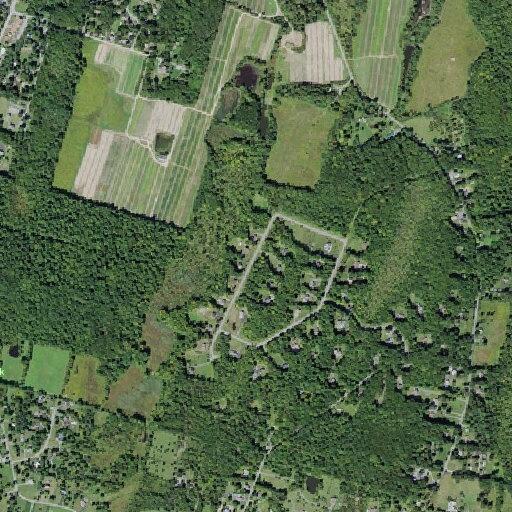 Child injured after reported assault at home on Juniper Drive