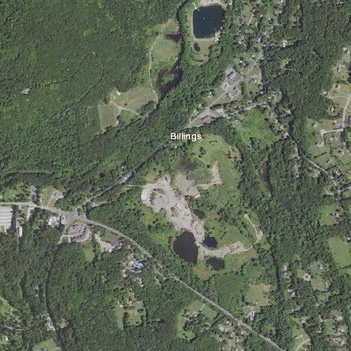Car collides with bear on Route 55