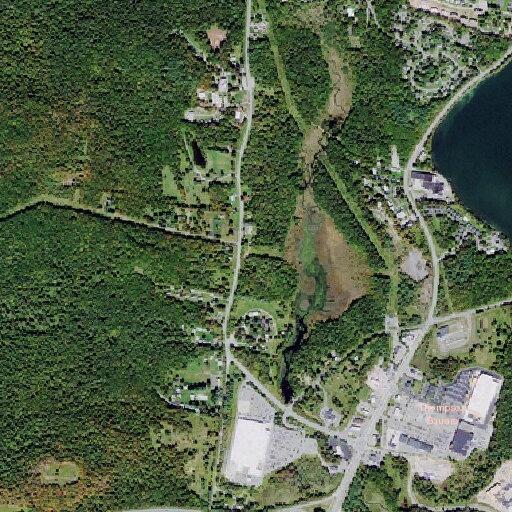 Female fall victim at gas station on Route 42