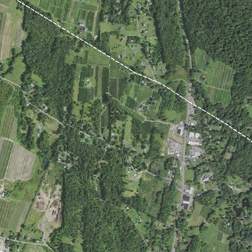 Report of missing infant near New Road in Milton