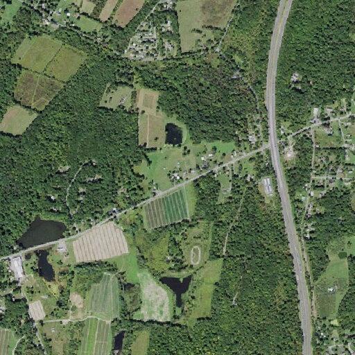 Woman with dementia walking near roadway in Modena