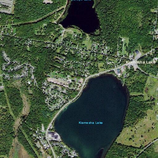 Elderly woman falls and cannot get up near Lake View Dr