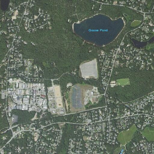Loose dog reported near Victoria Drive