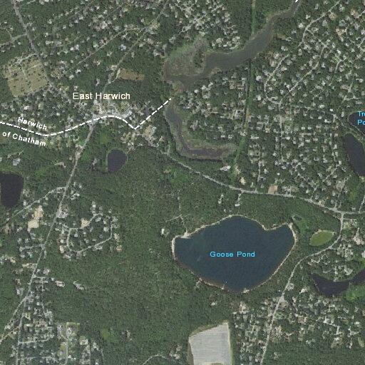 Person with back pain and difficulty walking in Chatham