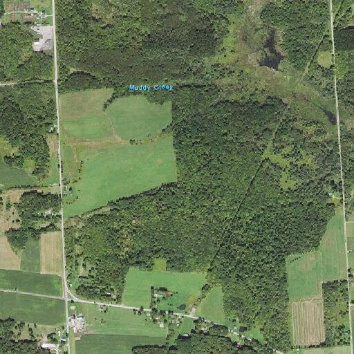 Child with altered mental status after fall near Leona Road