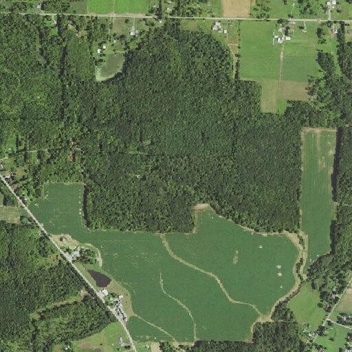 Small brush fire reported on US Highway 6