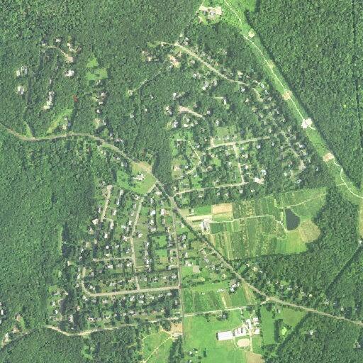 Cancer patient vomiting near Partridge Landing