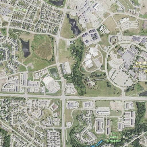 Man experiencing hallucinations at Ankeny Hy-Vee