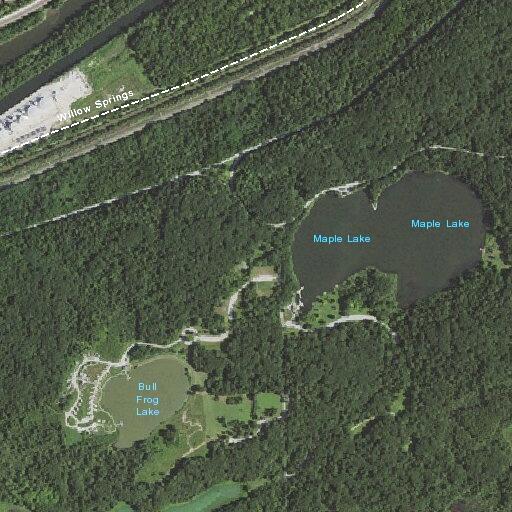 Person with breathing problem near Wolf Road in Willow Springs