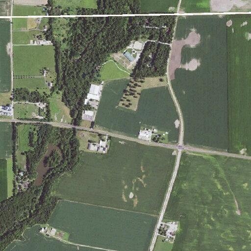 Power lines ignite tree fire on Galena Road